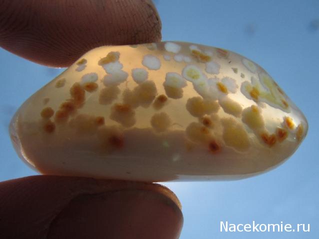 Энергия камней № 71 Опал (окатанный камень) фото, обсуждение