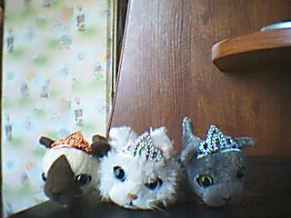 Кошкин дом. Болталка The Cat Collection