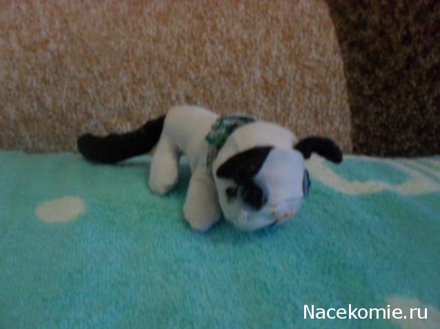 Кошкин дом. Болталка The Cat Collection