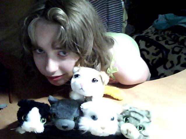 Кошкин дом. Болталка The Cat Collection