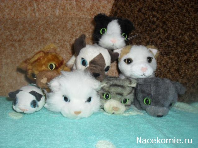 Кошкин дом. Болталка The Cat Collection