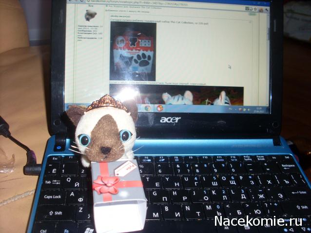 Кошкин дом. Болталка The Cat Collection