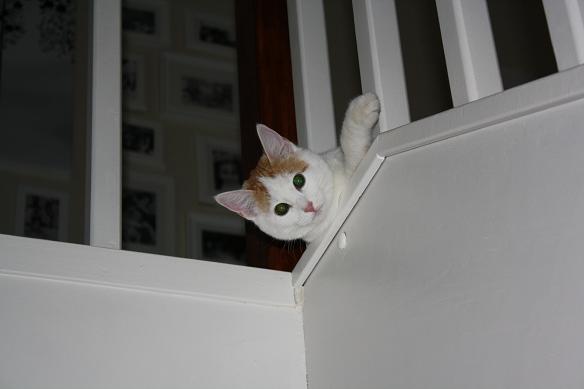 Дом Мечты. Болталка или... погрызем семечки