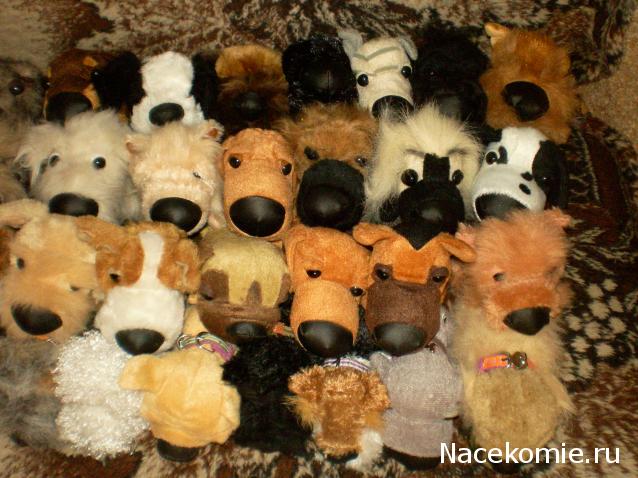 The Dog Collection Болталка