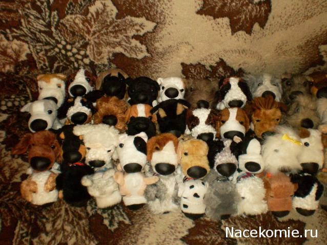 The Dog Collection Болталка