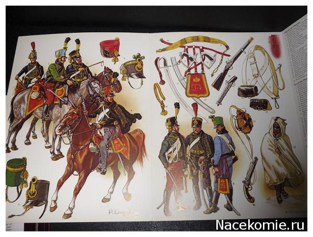 Вопросы к Александру Чернушкину