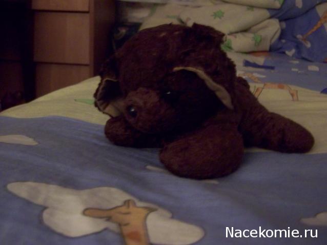 Дамы эпохи - Болталка №2 (соседняя палата)