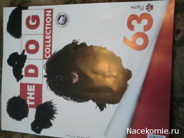 The Dog Collection №63 Пули