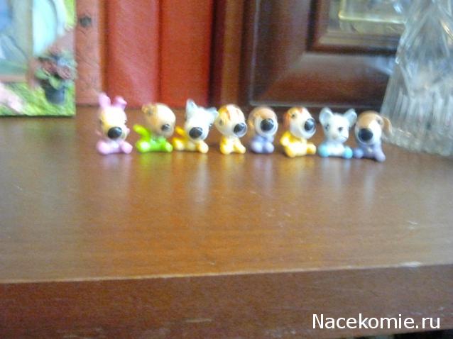 The Dog Collection Болталка