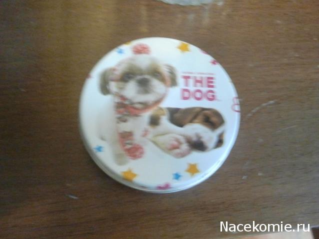 The Dog Collection Болталка