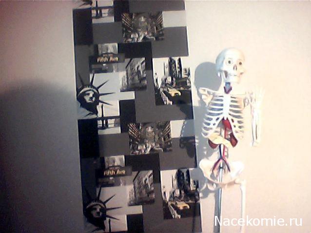 Собери и познай человеческое тело 2012 (Скелет Переиздание)