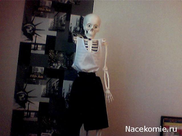 Собери и познай человеческое тело 2012 (Скелет Переиздание)