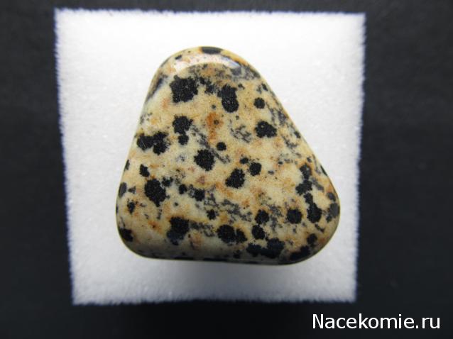 Минералы №91 Роговая Обманка фото, обсуждение