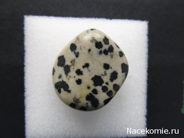 Минералы №91 Роговая Обманка фото, обсуждение