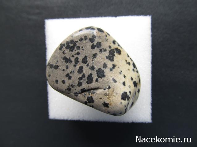 Минералы №91 Роговая Обманка фото, обсуждение