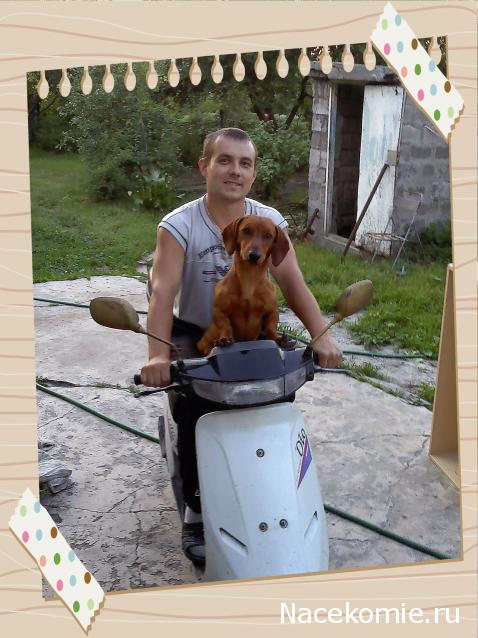 Дом Мечты. Болталка 2 или... будем знакомы