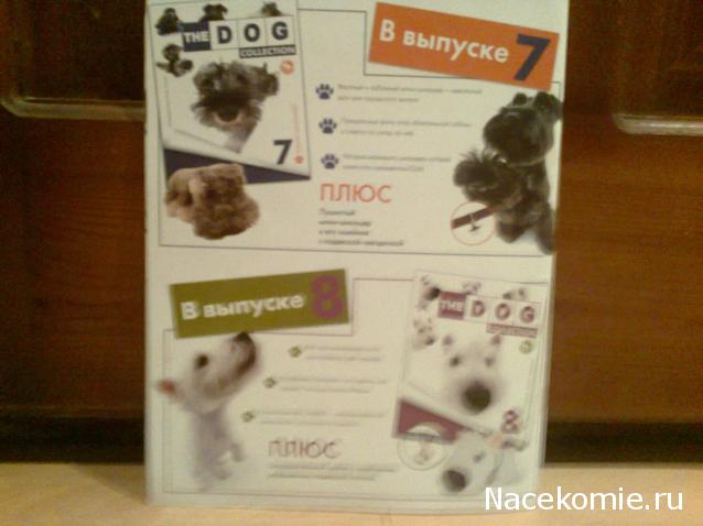 The Dog Collection №6 Далматин