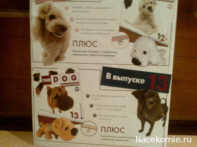 The Dog Collection №11 Йоркширский терьер