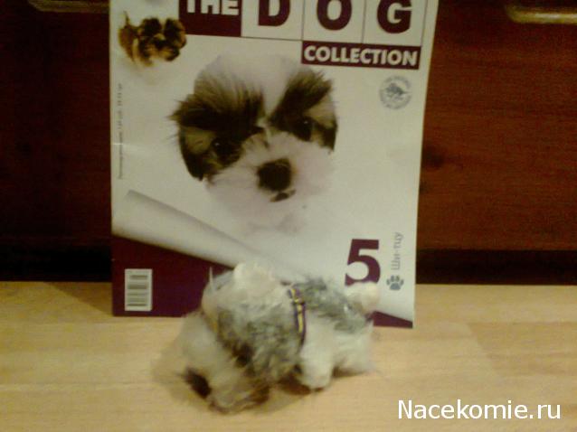 The Dog Collection №5 - Ши-тцу