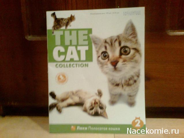 The Cat Collection № 2 Полосатая кошка Фото