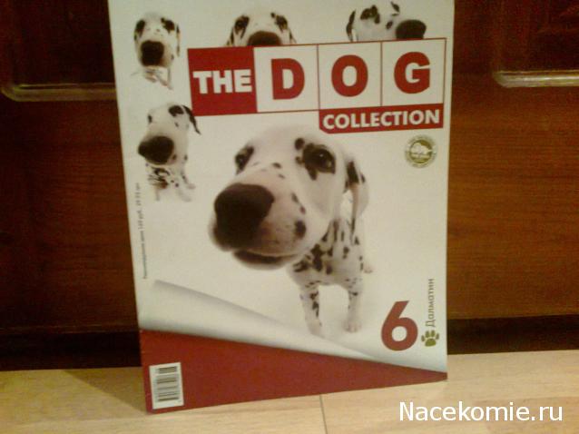 The Dog Collection №6 Далматин