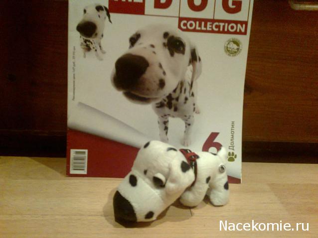 The Dog Collection №6 Далматин