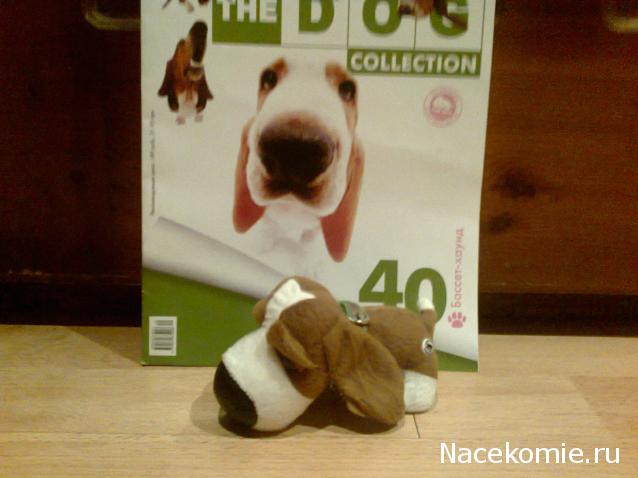 The Dog Collection №40 Бассет-хаунд