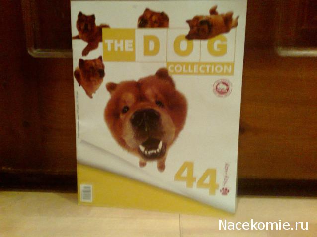 The Dog Collection №44 Чау-чау