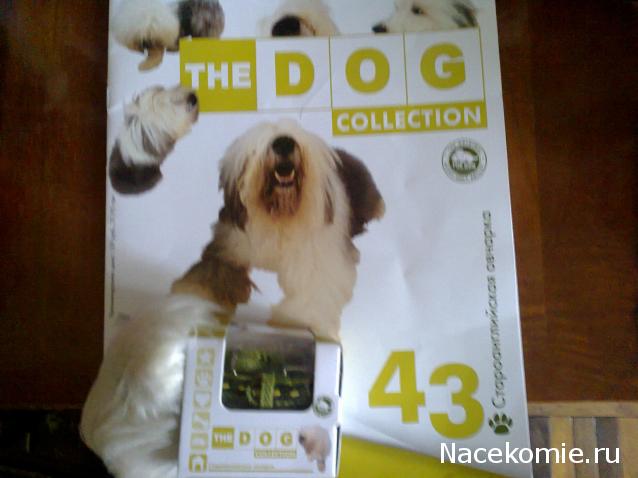 The Dog Collection №43 Бобтейл