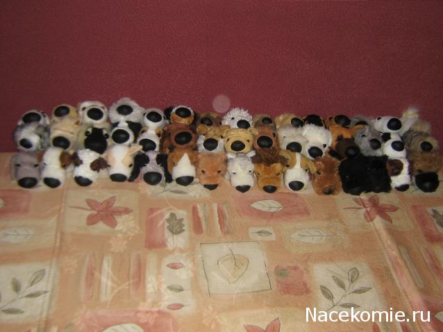 The Dog Collection Болталка