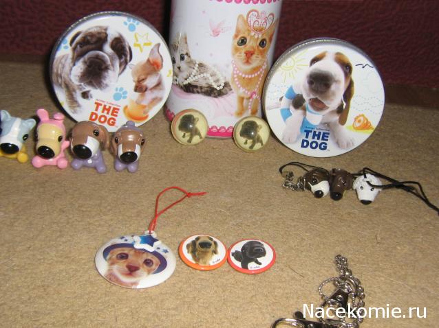 The Dog Collection Болталка