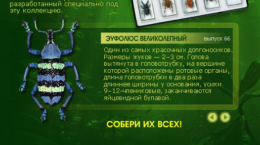 Насекомые и их знакомые 2010 График Выхода и обсуждение