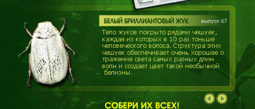 Насекомые и их знакомые 2010 График Выхода и обсуждение