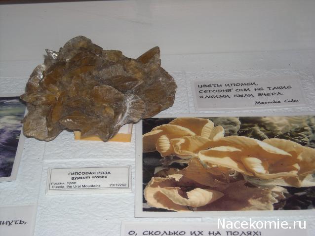 "ЭНЕРГИЯ КАМНЕЙ", флуд