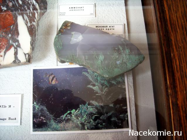 "ЭНЕРГИЯ КАМНЕЙ", флуд