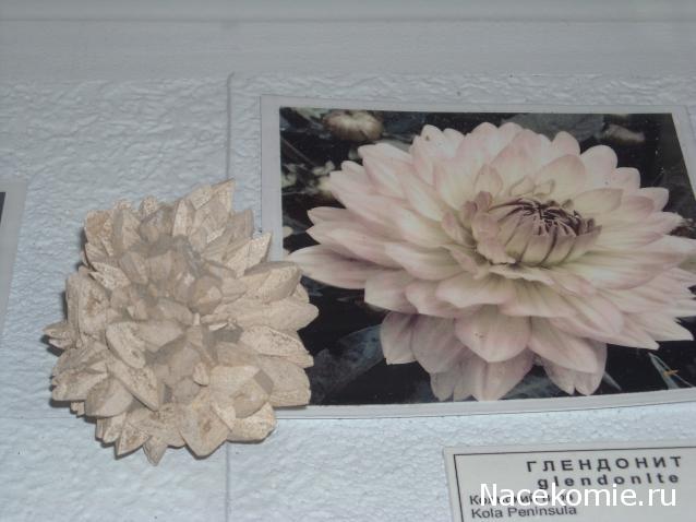 "ЭНЕРГИЯ КАМНЕЙ", флуд