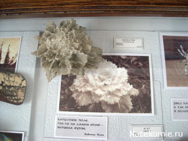 "ЭНЕРГИЯ КАМНЕЙ", флуд