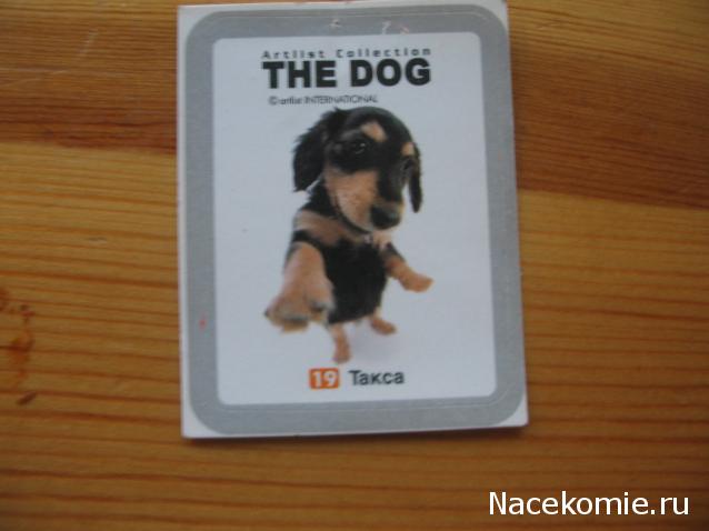 The Dog Collection Болталка