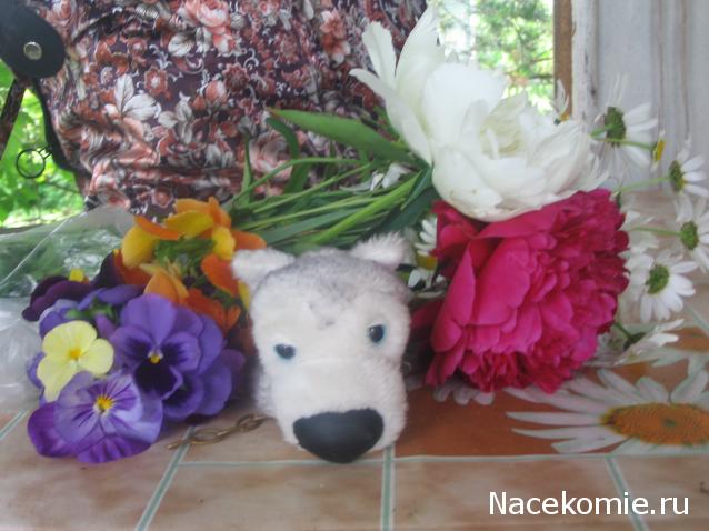 The Dog Collection Болталка