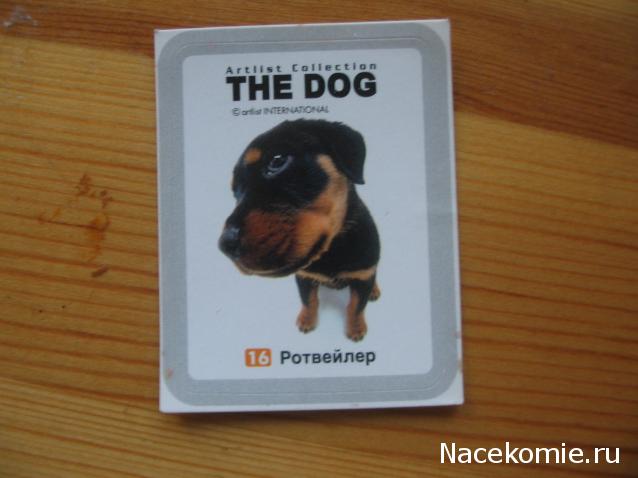 The Dog Collection Болталка