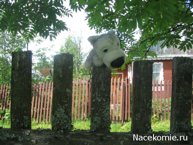 The Dog Collection Болталка