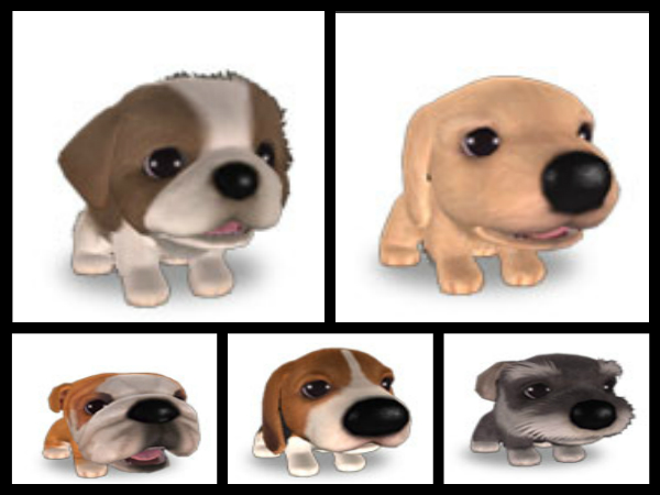 The Dog Collection Болталка