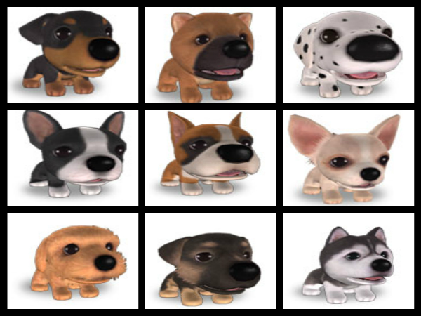 The Dog Collection Болталка