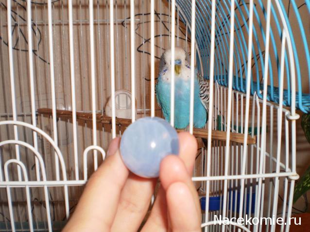 Энергия камней № 78 Голубой кальцит (шар) фото, обсуждение