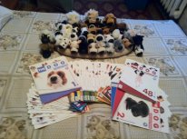 The Dog Collection Болталка