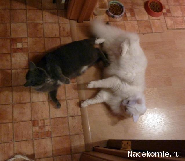 Дом Мечты. Болталка 2 или... будем знакомы