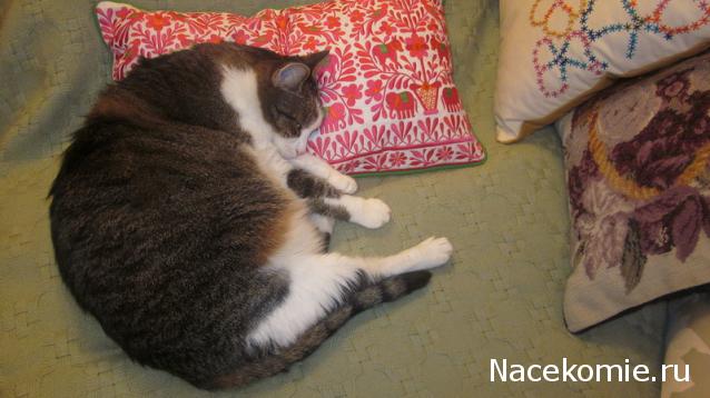 Дом Мечты. Болталка 2 или... будем знакомы