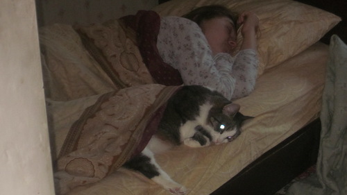 Дом Мечты. Болталка 2 или... будем знакомы