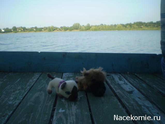 The Dog Collection Болталка