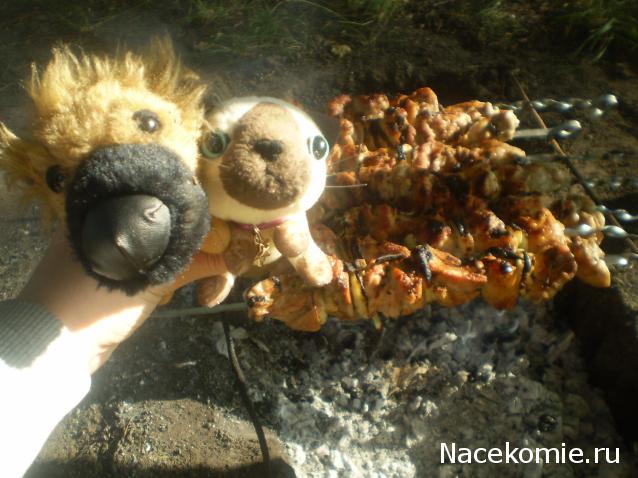 The Dog Collection Болталка